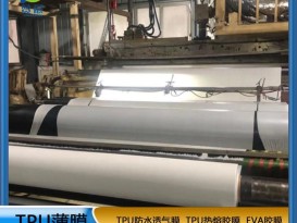 tpu膜白色霧面防水透氣膜復(fù)合布料紡織移印 等功能性薄膜生產(chǎn)廠家直銷(xiāo)